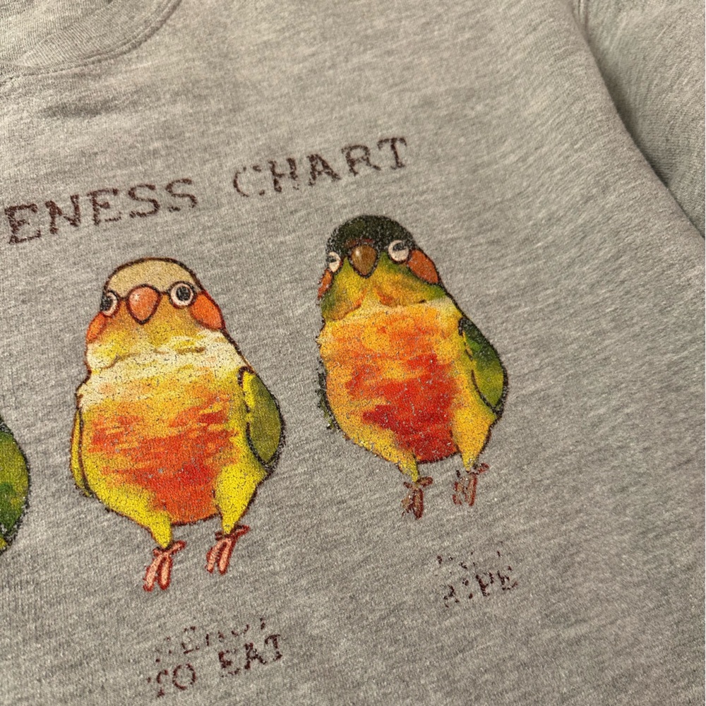 Conure Ripeness Sweatshirt - Picture 3 of 6